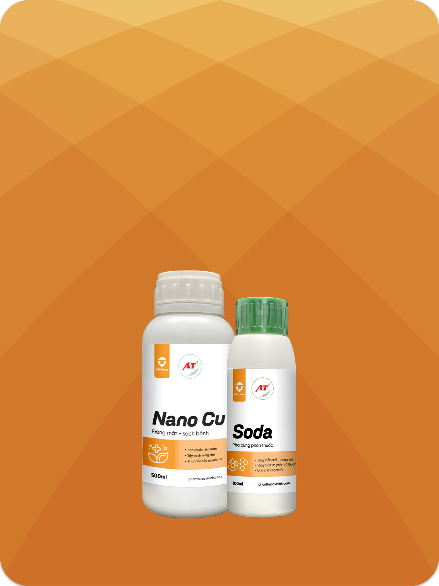 Nano Hóa Học, Sinh Học